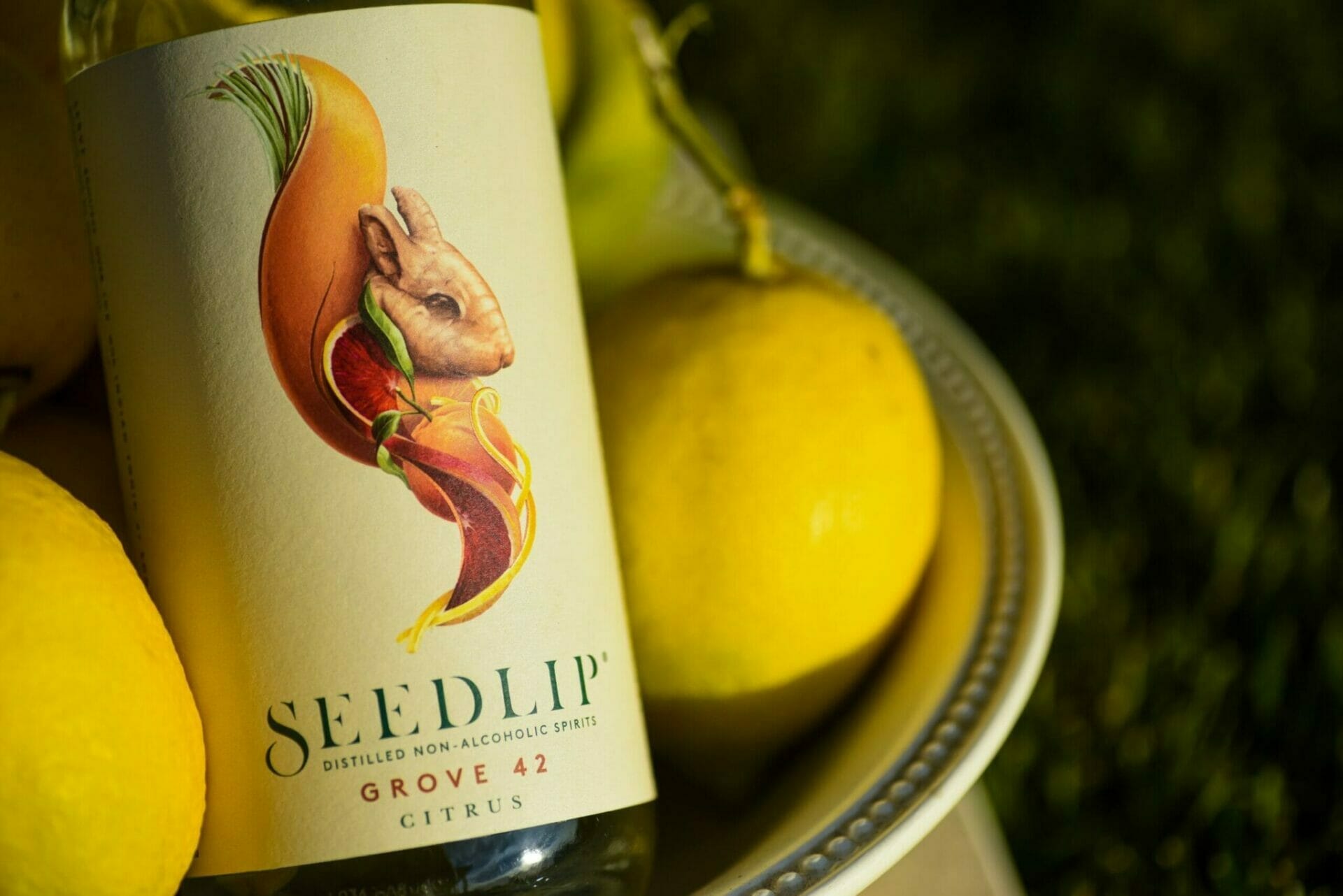 seedlip-scaled seedlip-scaled
